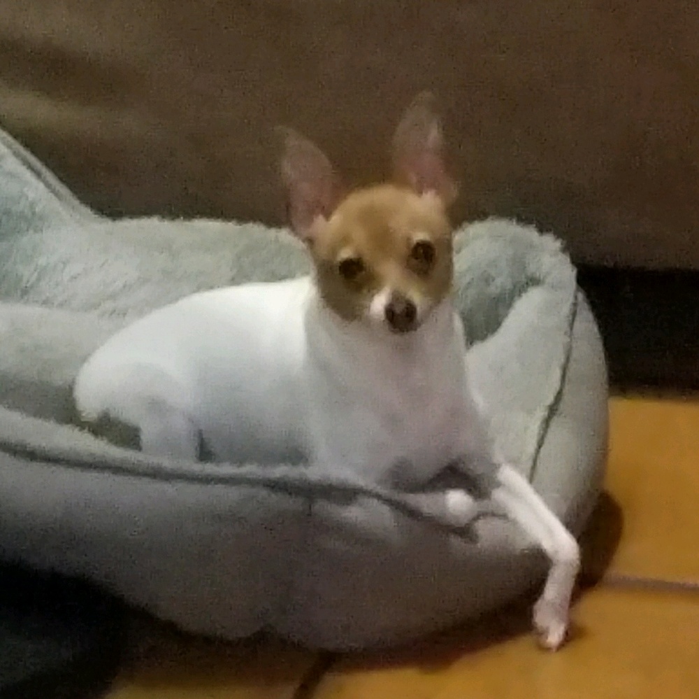 Meet your Posher, Gina